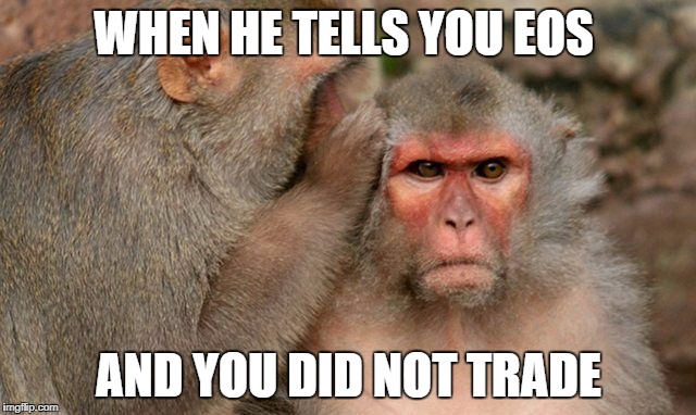 WHEN HE TELLS YOU EOS; AND YOU DID NOT TRADE | made w/ Imgflip meme maker
