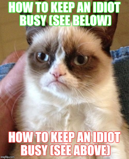 Grumpy Cat | HOW TO KEEP AN IDIOT BUSY (SEE BELOW); HOW TO KEEP AN IDIOT BUSY (SEE ABOVE) | image tagged in memes,grumpy cat | made w/ Imgflip meme maker