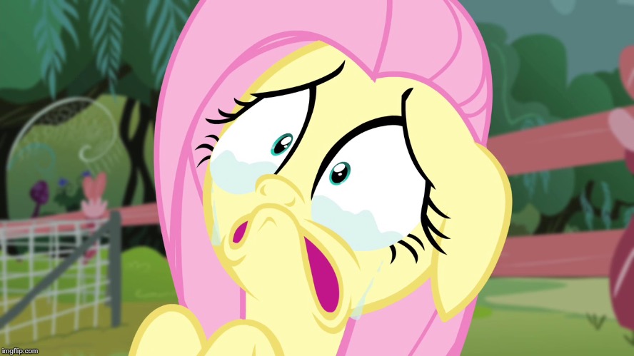 High Quality Crying Fluttershy Blank Meme Template