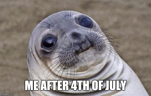 Awkward Moment Sealion Meme | ME AFTER 4TH OF JULY | image tagged in memes,awkward moment sealion | made w/ Imgflip meme maker