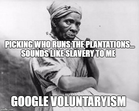 slave lady | PICKING WHO RUNS THE PLANTATIONS... SOUNDS LIKE SLAVERY TO ME; GOOGLE VOLUNTARYISM | image tagged in slave lady | made w/ Imgflip meme maker