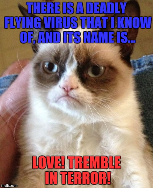 Grumpy Cat Meme | THERE IS A DEADLY FLYING VIRUS THAT I KNOW OF, AND ITS NAME IS... LOVE! TREMBLE IN TERROR! | image tagged in memes,grumpy cat | made w/ Imgflip meme maker