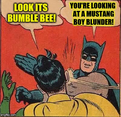 What I think when kids see my car | LOOK ITS BUMBLE BEE! YOU'RE LOOKING AT A MUSTANG BOY BLUNDER! | image tagged in memes,batman slapping robin | made w/ Imgflip meme maker