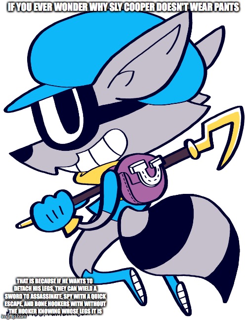 Sly Cooper | IF YOU EVER WONDER WHY SLY COOPER DOESN'T WEAR PANTS; THAT IS BECAUSE IF HE WANTS TO DETACH HIS LEGS, THEY CAN WIELD A SWORD TO ASSASSINATE, SPY WITH A QUICK ESCAPE, AND BONE HOOKERS WITH WITHOUT THE HOOKER KNOWING WHOSE LEGS IT IS | image tagged in sly cooper,memes | made w/ Imgflip meme maker