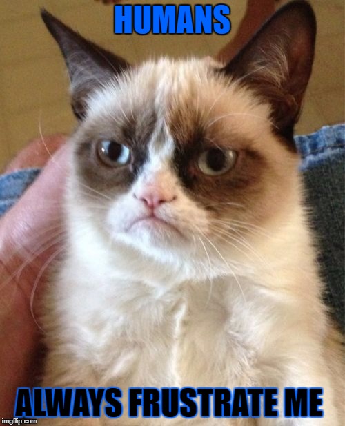 Grumpy Cat Meme | HUMANS ALWAYS FRUSTRATE ME | image tagged in memes,grumpy cat | made w/ Imgflip meme maker