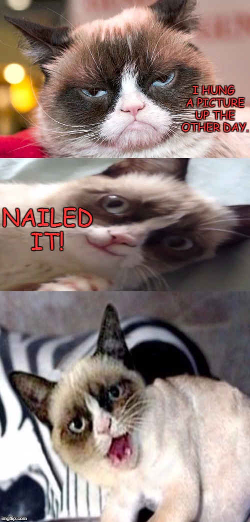 Bad Pun Grumpy Cat | I HUNG A PICTURE UP THE OTHER DAY. NAILED IT! | image tagged in bad pun grumpy cat | made w/ Imgflip meme maker