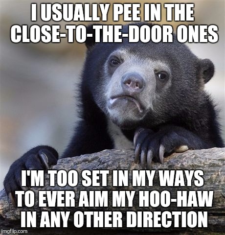Confession Bear Meme | I USUALLY PEE IN THE CLOSE-TO-THE-DOOR ONES I'M TOO SET IN MY WAYS TO EVER AIM MY HOO-HAW IN ANY OTHER DIRECTION | image tagged in memes,confession bear | made w/ Imgflip meme maker
