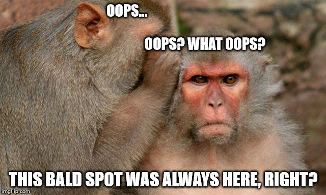 OOPS...                                                                                                   OOPS?
WHAT OOPS? THIS BALD SPOT WAS ALWAYS HERE, RIGHT? | made w/ Imgflip meme maker