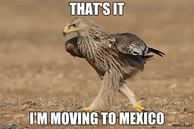 Thanks Trump | THAT'S IT; I'M MOVING TO MEXICO | image tagged in memes,funny,trump,eagle,mexico | made w/ Imgflip meme maker
