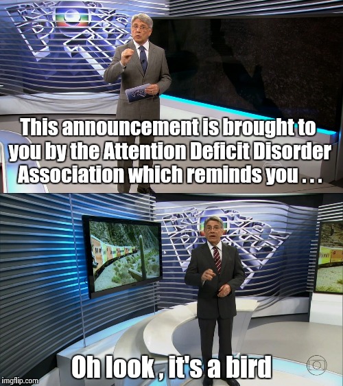 A cause close to his heart | This announcement is brought to you by the Attention Deficit Disorder Association which reminds you . . . Oh look , it's a bird | image tagged in attention deficit disorder,reporter | made w/ Imgflip meme maker