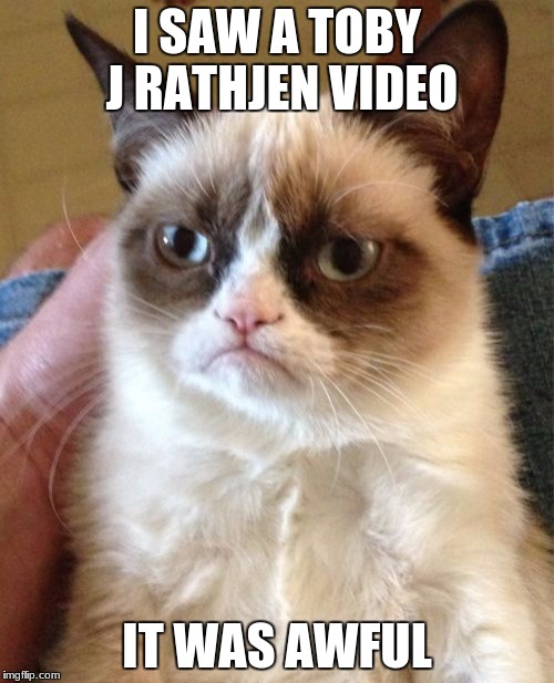 Grumpy Cat Meme | I SAW A TOBY J RATHJEN VIDEO; IT WAS AWFUL | image tagged in memes,grumpy cat | made w/ Imgflip meme maker