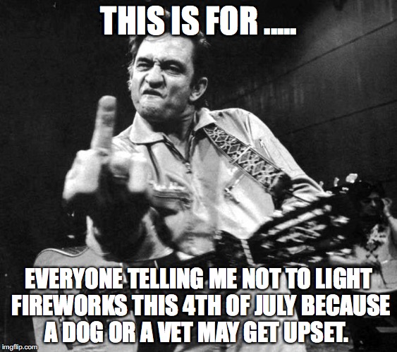 4th of July | THIS IS FOR ..... EVERYONE TELLING ME NOT TO LIGHT FIREWORKS THIS 4TH OF JULY BECAUSE A DOG OR A VET MAY GET UPSET. | image tagged in johnny cash bird,fireworks,upset | made w/ Imgflip meme maker