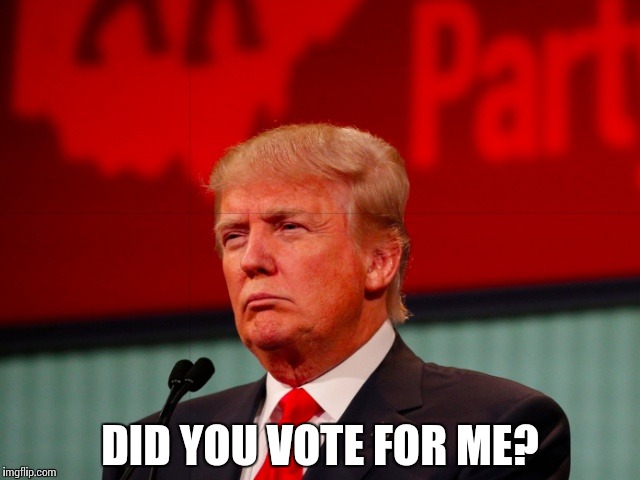 Not Sure | DID YOU VOTE FOR ME? | image tagged in not sure | made w/ Imgflip meme maker
