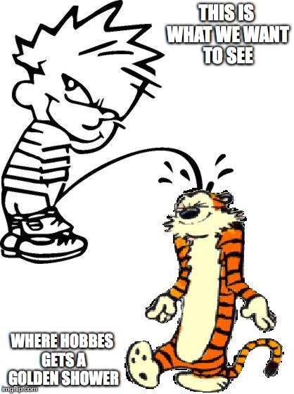Calvin Peeing on Hobbes |  THIS IS WHAT WE WANT TO SEE; WHERE HOBBES GETS A GOLDEN SHOWER | image tagged in calvin and hobbes,golden showers,memes | made w/ Imgflip meme maker