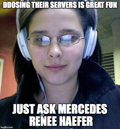 Mercedes Renee Haefer | DDOSING THEIR SERVERS IS GREAT FUN; JUST ASK MERCEDES RENEE HAEFER | image tagged in paypal,mercedes renee haefer,memes | made w/ Imgflip meme maker