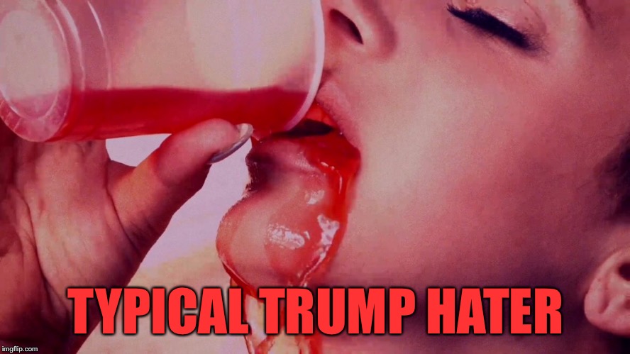 TYPICAL TRUMP HATER | made w/ Imgflip meme maker