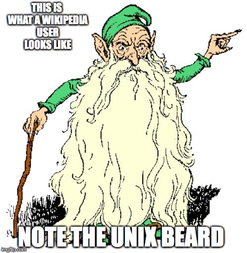 Typical Wikipedia User | THIS IS WHAT A WIKIPEDIA USER LOOKS LIKE; NOTE THE UNIX BEARD | image tagged in wikipedia,memes | made w/ Imgflip meme maker