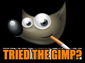 TRIED THE GIMP? | made w/ Imgflip meme maker