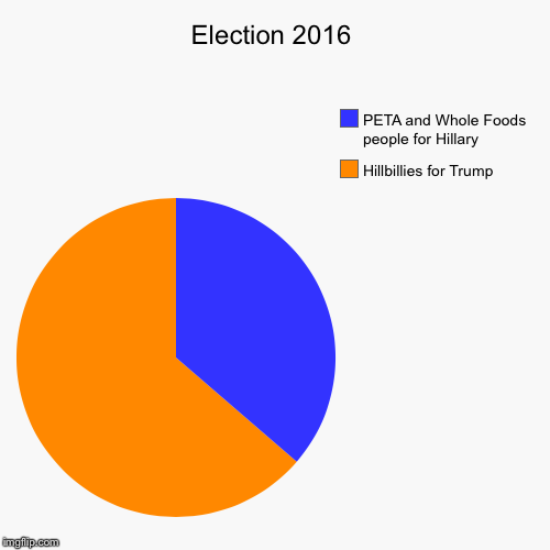 image tagged in funny,pie charts | made w/ Imgflip chart maker