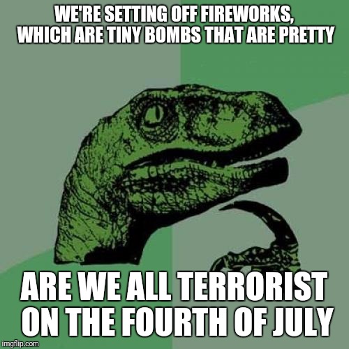 Philosoraptor Meme | WE'RE SETTING OFF FIREWORKS, WHICH ARE TINY BOMBS THAT ARE PRETTY; ARE WE ALL TERRORIST ON THE FOURTH OF JULY | image tagged in memes,philosoraptor | made w/ Imgflip meme maker