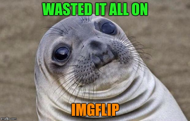 Awkward Moment Sealion Meme | WASTED IT ALL ON IMGFLIP | image tagged in memes,awkward moment sealion | made w/ Imgflip meme maker