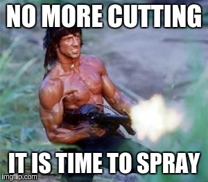 NO MORE CUTTING IT IS TIME TO SPRAY | made w/ Imgflip meme maker