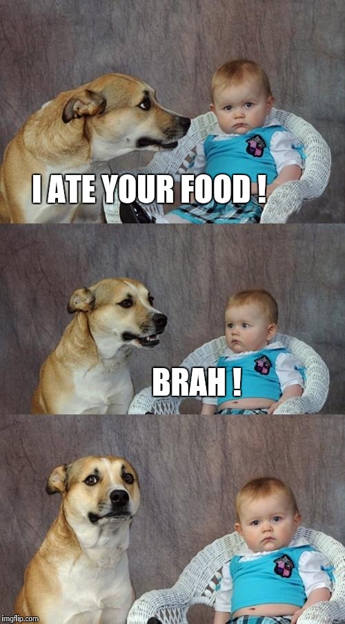 Brah | I ATE YOUR FOOD ! BRAH ! | image tagged in memes,dad joke dog,brah,no way,dude,wtf | made w/ Imgflip meme maker