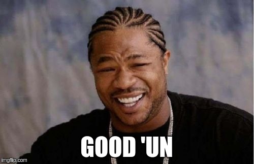 Yo Dawg Heard You Meme | GOOD 'UN | image tagged in memes,yo dawg heard you | made w/ Imgflip meme maker