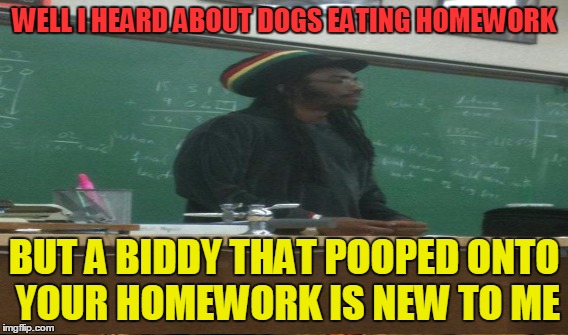 WELL I HEARD ABOUT DOGS EATING HOMEWORK BUT A BIDDY THAT POOPED ONTO YOUR HOMEWORK IS NEW TO ME | made w/ Imgflip meme maker