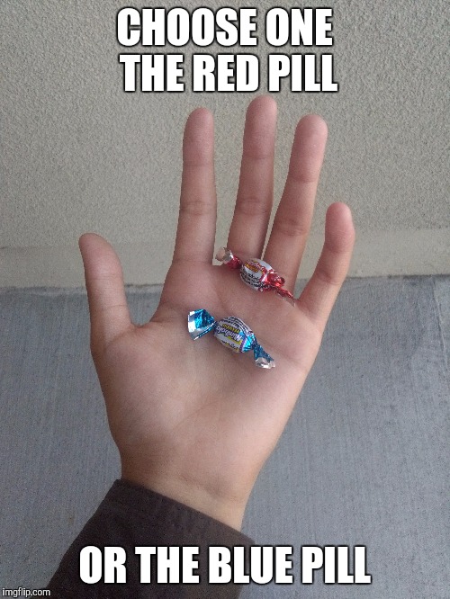 Neo choose | CHOOSE ONE THE RED PILL; OR THE BLUE PILL | image tagged in memes,matrix | made w/ Imgflip meme maker