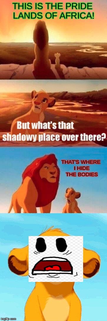 THIS IS THE PRIDE LANDS OF AFRICA! THAT'S WHERE I HIDE THE BODIES | image tagged in lion king | made w/ Imgflip meme maker