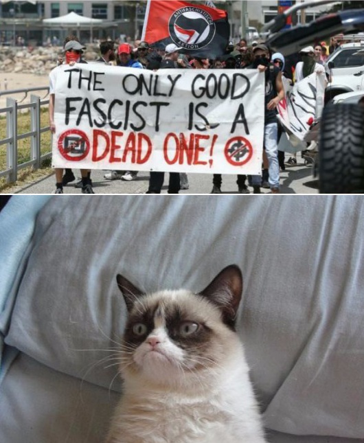 High Quality Grumpy cat vs antifa  Blank Meme Template