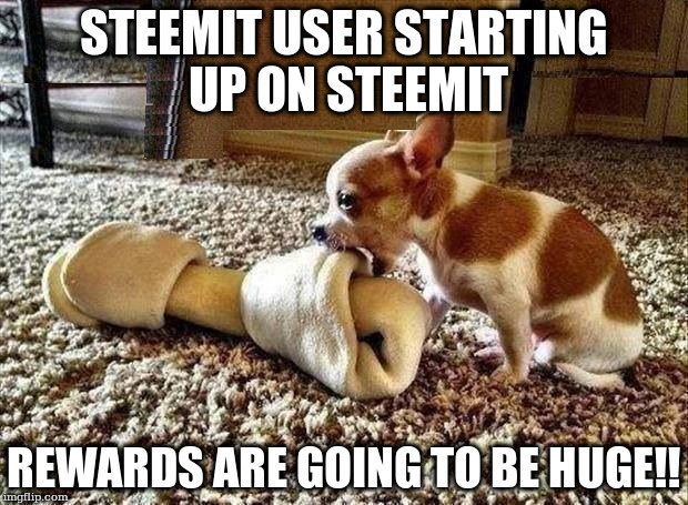 STEEMIT USER STARTING UP ON STEEMIT; REWARDS ARE GOING TO BE HUGE!! | made w/ Imgflip meme maker