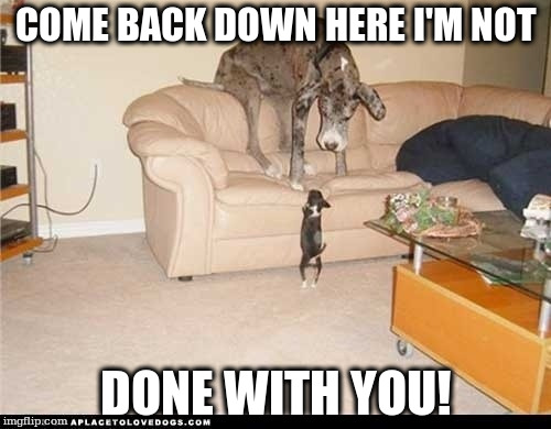 COME BACK DOWN HERE I'M NOT; DONE WITH YOU! | made w/ Imgflip meme maker