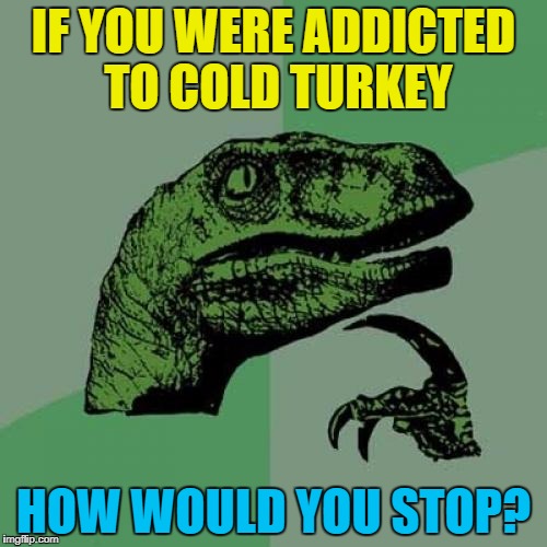 You could go cold tur... Never mind :) | IF YOU WERE ADDICTED TO COLD TURKEY; HOW WOULD YOU STOP? | image tagged in memes,philosoraptor,cold turkey,addiction,food,animals | made w/ Imgflip meme maker
