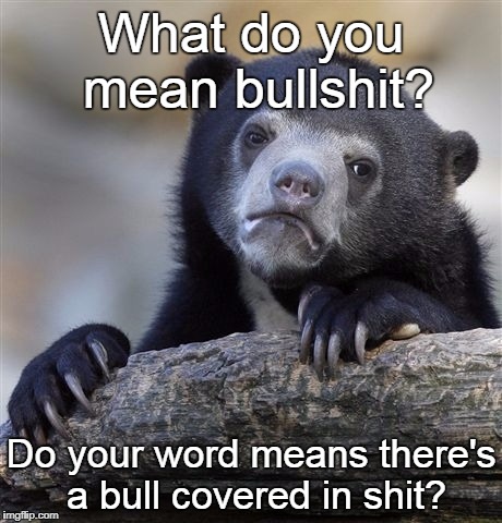i think that was already made, but i decided to make it | What do you mean bullshit? Do your word means there's a bull covered in shit? | image tagged in memes,confession bear | made w/ Imgflip meme maker