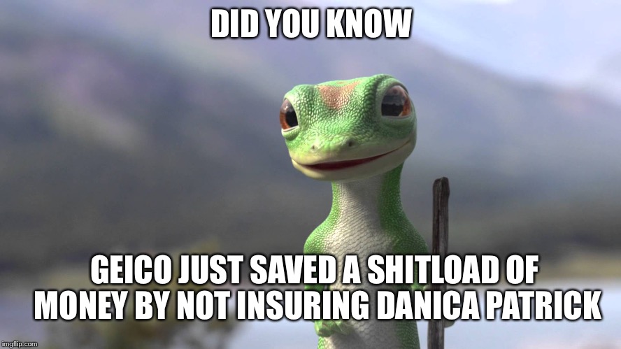 DID YOU KNOW; GEICO JUST SAVED A SHITLOAD OF MONEY BY NOT INSURING DANICA PATRICK | image tagged in danica patrick | made w/ Imgflip meme maker