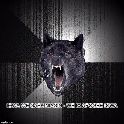 Insanity Wolf | IOWA WE CASK NIACIN - WE IX APOGEE IOWA | image tagged in memes,insanity wolf,normality | made w/ Imgflip meme maker