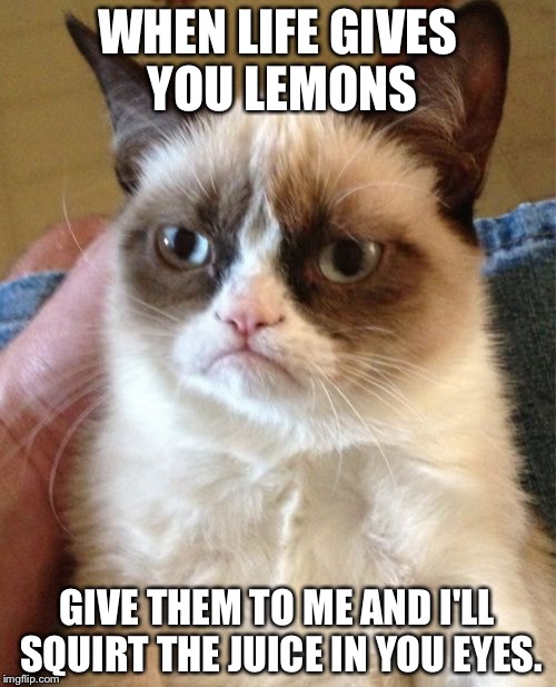 Grumpy Cat Meme | WHEN LIFE GIVES YOU LEMONS; GIVE THEM TO ME AND I'LL SQUIRT THE JUICE IN YOU EYES. | image tagged in memes,grumpy cat | made w/ Imgflip meme maker