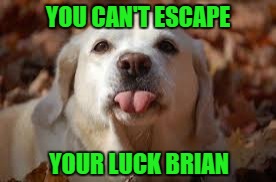 YOU CAN'T ESCAPE YOUR LUCK BRIAN | made w/ Imgflip meme maker