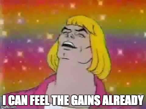 He-Man "party" | I CAN FEEL THE GAINS ALREADY | image tagged in he-man party | made w/ Imgflip meme maker