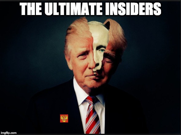 THE ULTIMATE INSIDERS | image tagged in memes | made w/ Imgflip meme maker