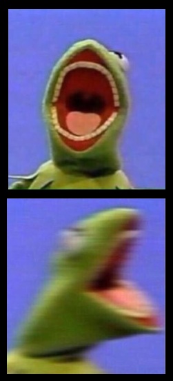 High Quality Kermit Angry Blank Meme Template