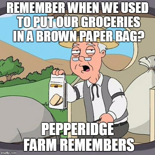 Before we switched to plastic | REMEMBER WHEN WE USED TO PUT OUR GROCERIES IN A BROWN PAPER BAG? PEPPERIDGE FARM REMEMBERS | image tagged in memes,pepperidge farm remembers | made w/ Imgflip meme maker