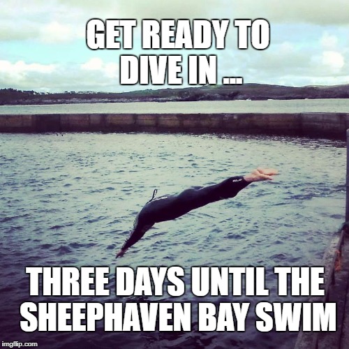 GET READY TO DIVE IN ... THREE DAYS UNTIL THE SHEEPHAVEN BAY SWIM | image tagged in water,get ready | made w/ Imgflip meme maker