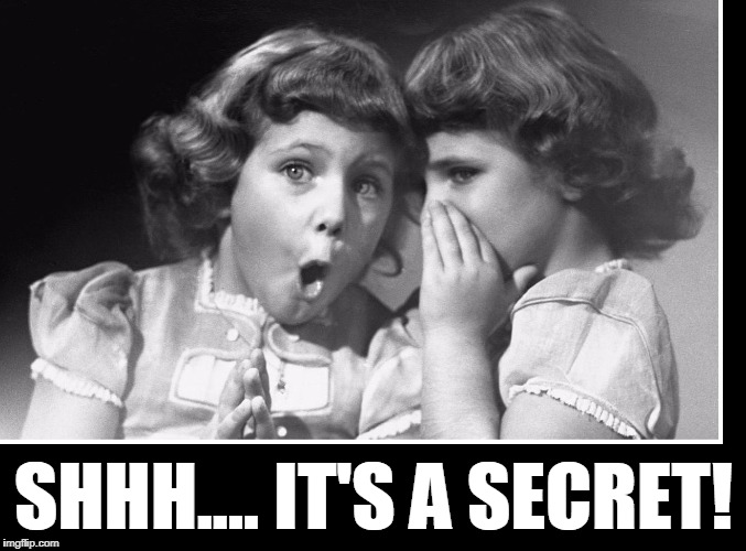 You Weren't Supposed to Tell | SHHH.... IT'S A SECRET! | image tagged in vince vance,vintage photo of 2 girls,telling a secret,secrets,never tell a secret,breaking an oath | made w/ Imgflip meme maker