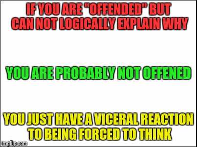 blank | IF YOU ARE "OFFENDED" BUT CAN NOT LOGICALLY EXPLAIN WHY; YOU ARE PROBABLY NOT OFFENED; YOU JUST HAVE A VICERAL REACTION TO BEING FORCED TO THINK | image tagged in blank | made w/ Imgflip meme maker