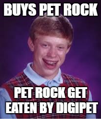 BUYS PET ROCK PET ROCK GET EATEN BY DIGIPET | made w/ Imgflip meme maker