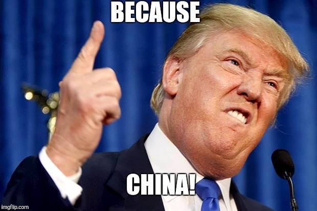 Donald Trump | BECAUSE; CHINA! | image tagged in donald trump | made w/ Imgflip meme maker