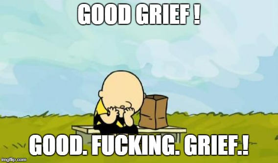 GOOD GRIEF ! GOOD. F**KING. GRIEF.! | made w/ Imgflip meme maker